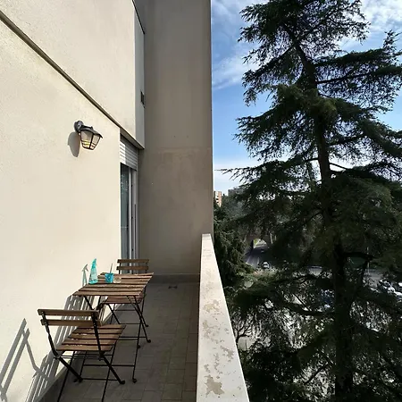 Marina 34 Double Terrace Near Fiera&sant'orsola Apartment *